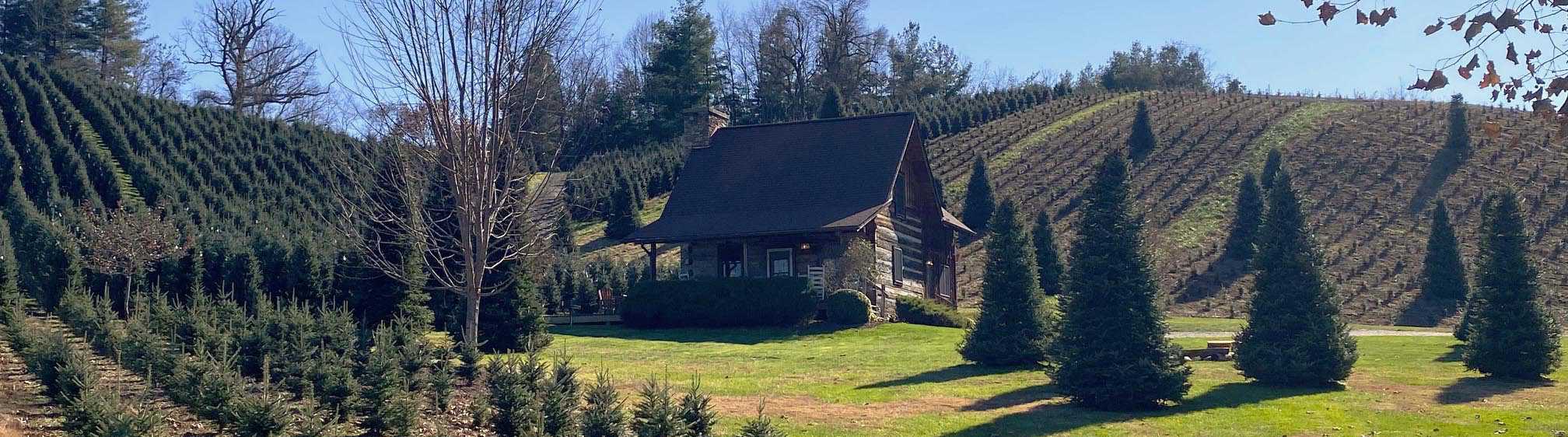 cabins